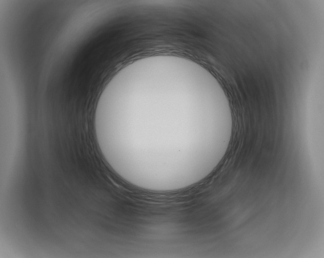 X0000113050760200908271055