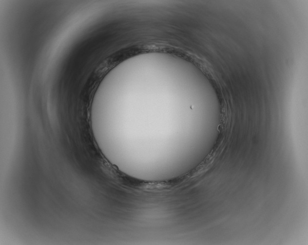 X0000113050762200908271055