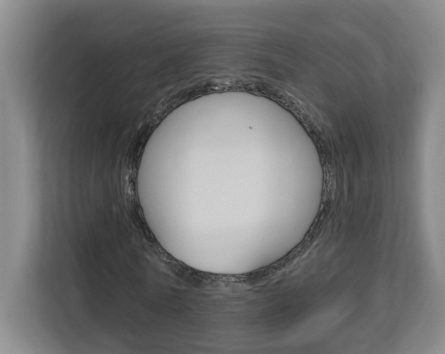 X0000113050770200908271054