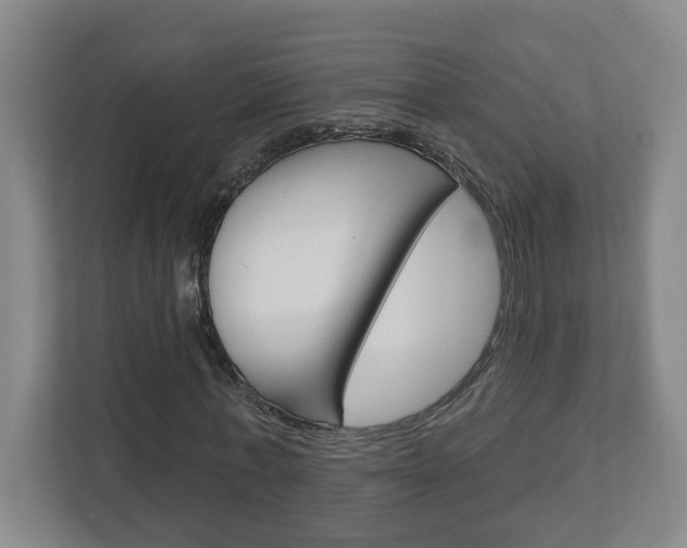 X0000113050771200908271054