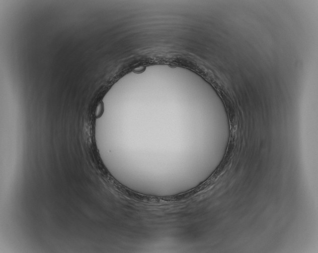 X0000113050772200908271054