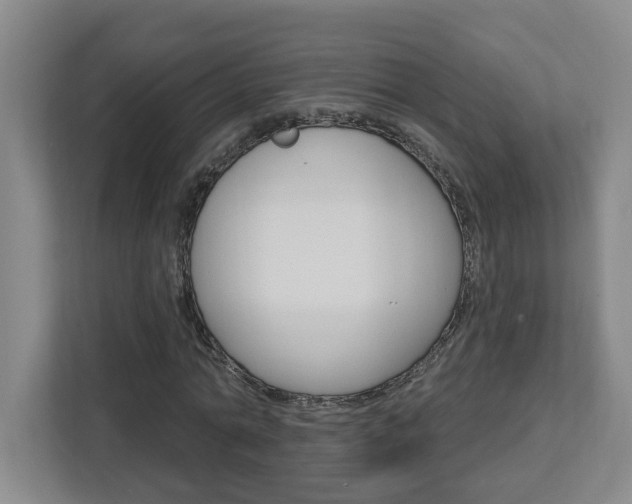 X0000113050774200908271054