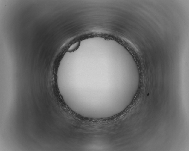 X0000113050776200908271054