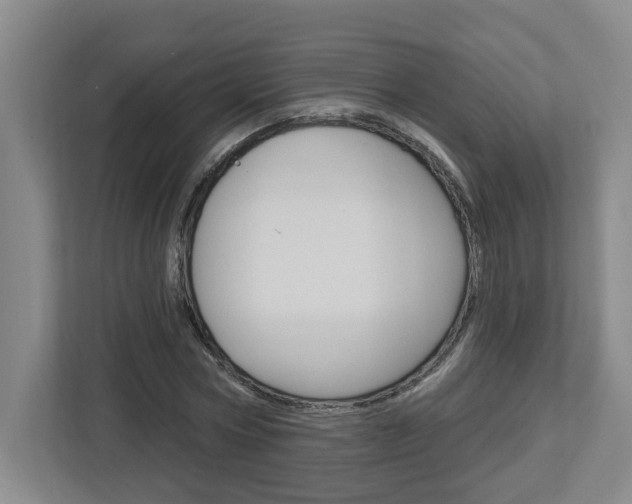 X0000113050778200908271054