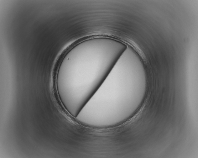 X0000113050780200908271054
