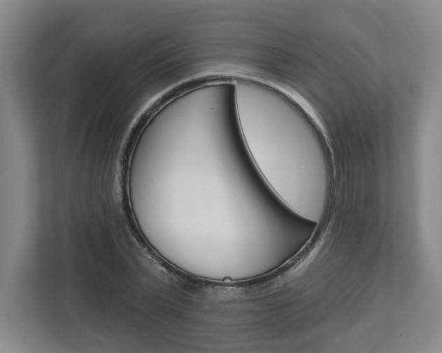 X0000113050783200908271054