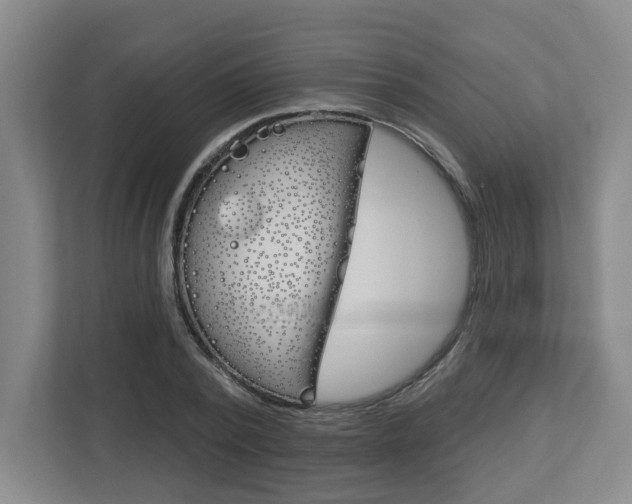 X0000113050784200908271054