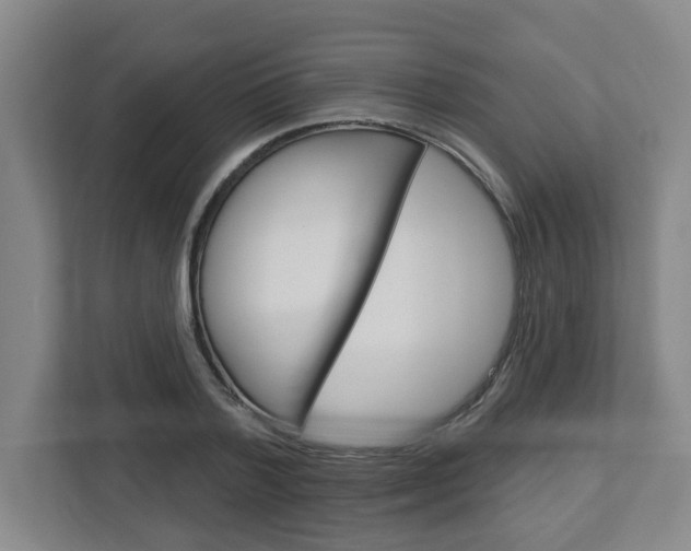X0000113050788200908271054