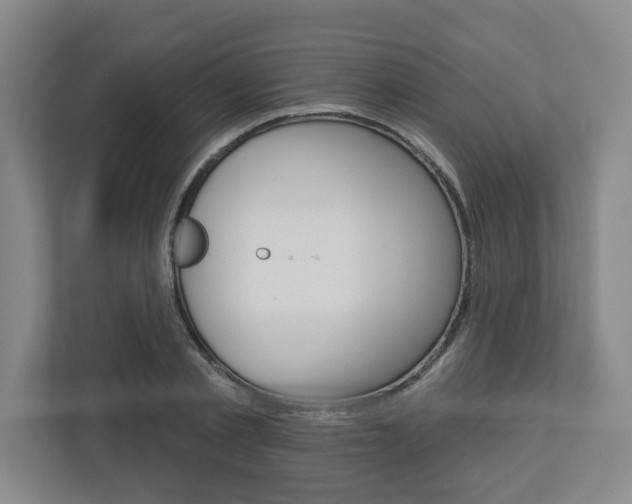 X0000113050789200908271054