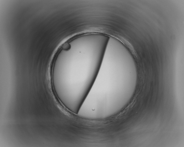 X0000113050792200908271054