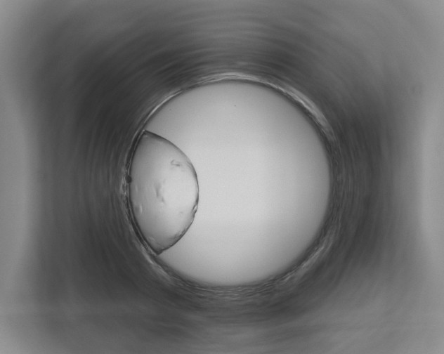 X0000113050793200908271054