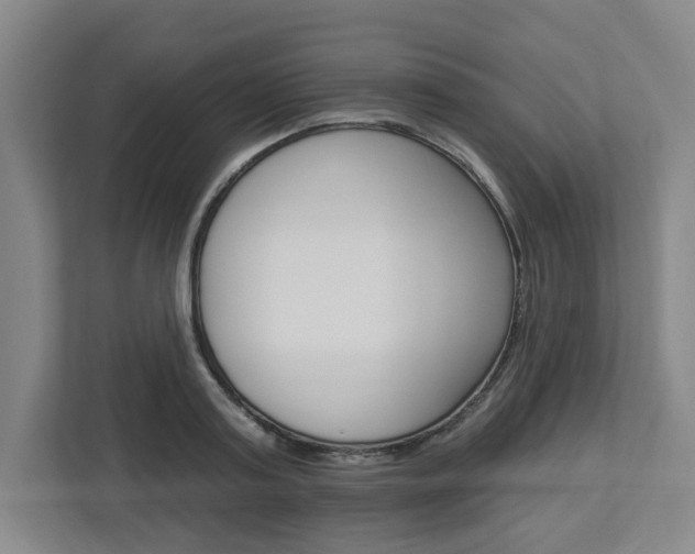 X0000113050795200908271054