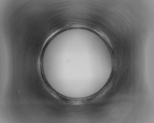 X0000113050798200908271054
