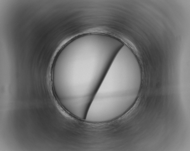 X0000113050800200908271054