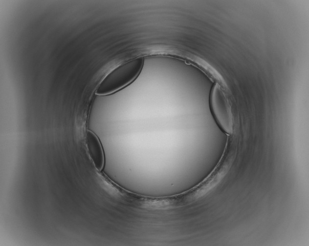X0000113050801200908271054