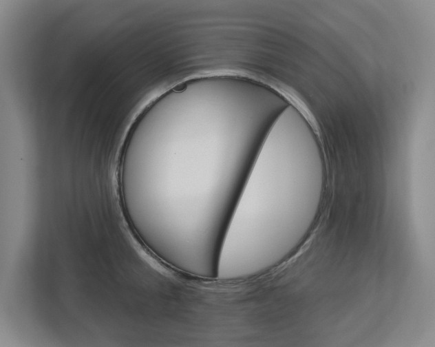 X0000113050805200908271054