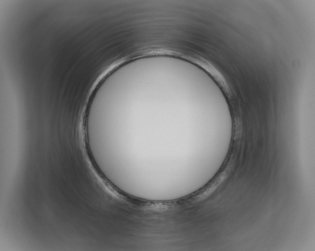 X0000113050806200908271053