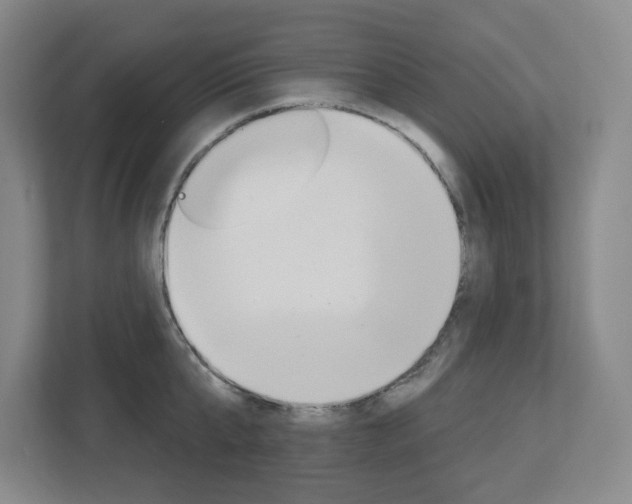 X0000113050807200908271053