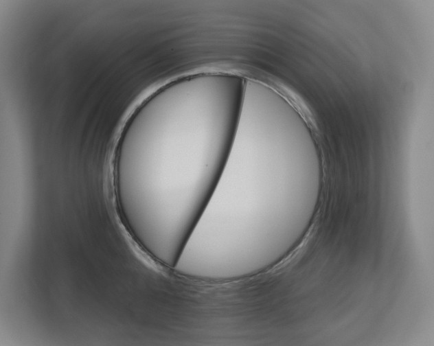 X0000113050808200908271053