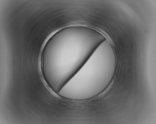 X0000113050812200908271053