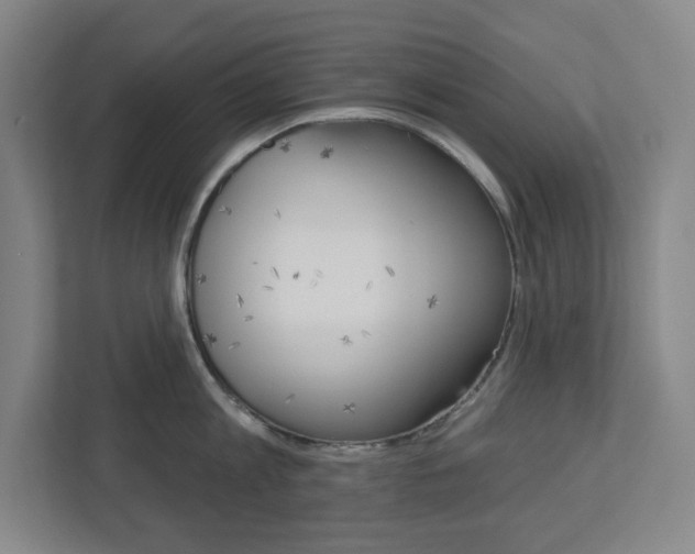 X0000113050813200908271053