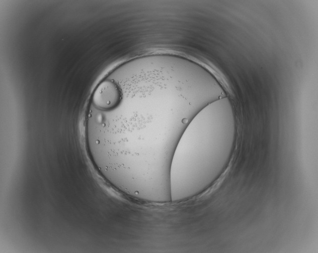 X0000113050814200908271053