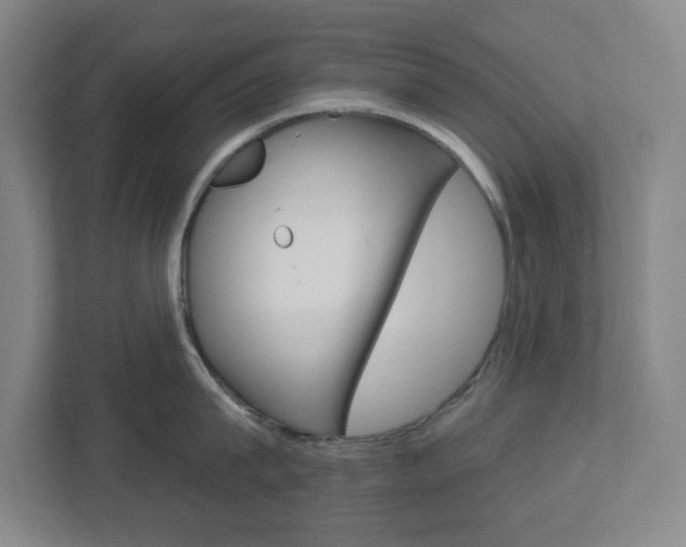 X0000113050815200908271053