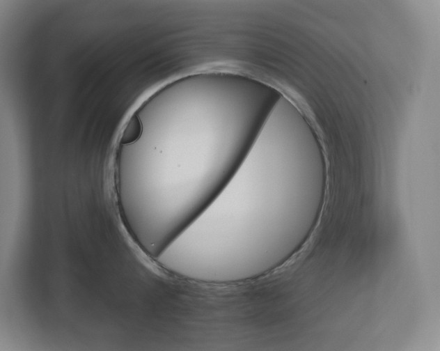 X0000113050816200908271053