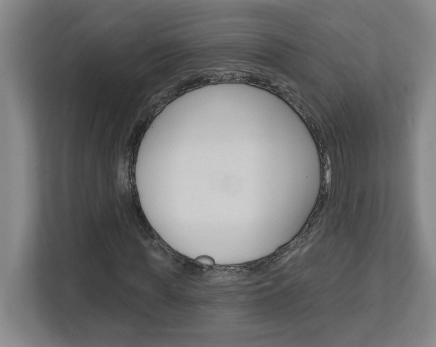 X0000113050819200908271053