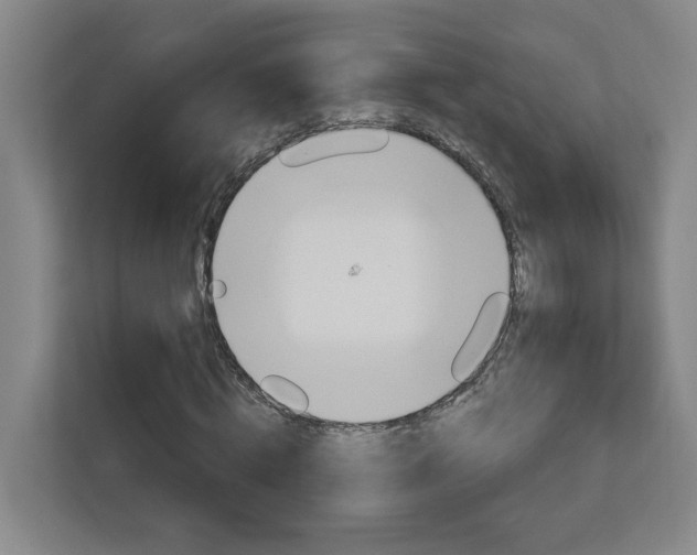 X0000113050820200908271053