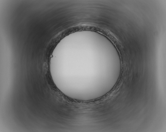 X0000113050821200908271053