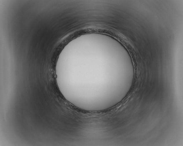 X0000113050822200908271053