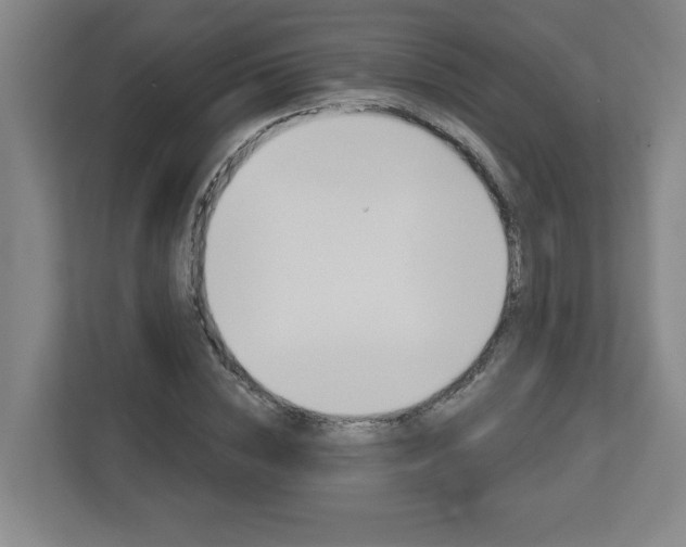 X0000113050828200908271053