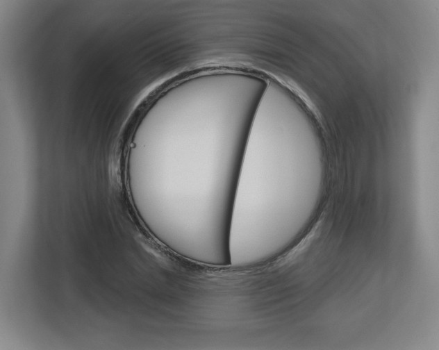 X0000113050830200908271053