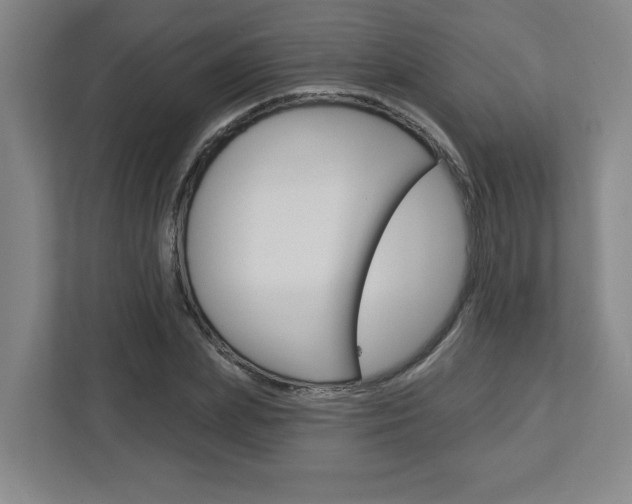 X0000113050831200908271053