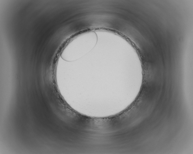X0000113050832200908271053