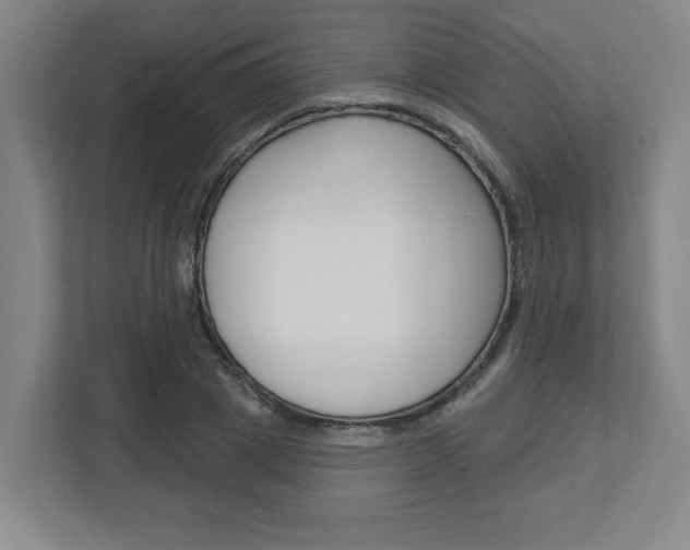 X0000113050833200908271053