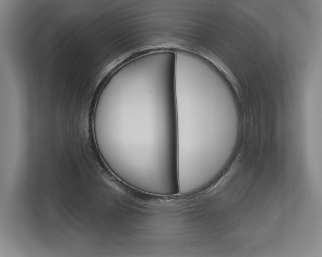 X0000113050834200908271053