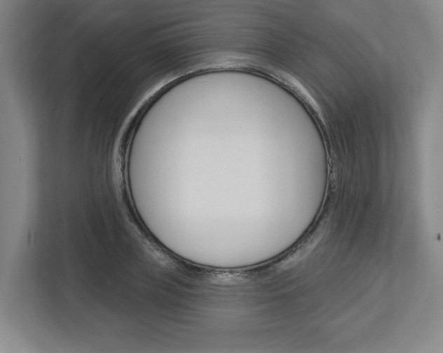 X0000113050835200908271053