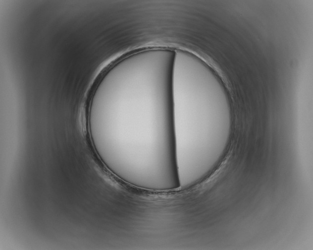 X0000113050838200908271053