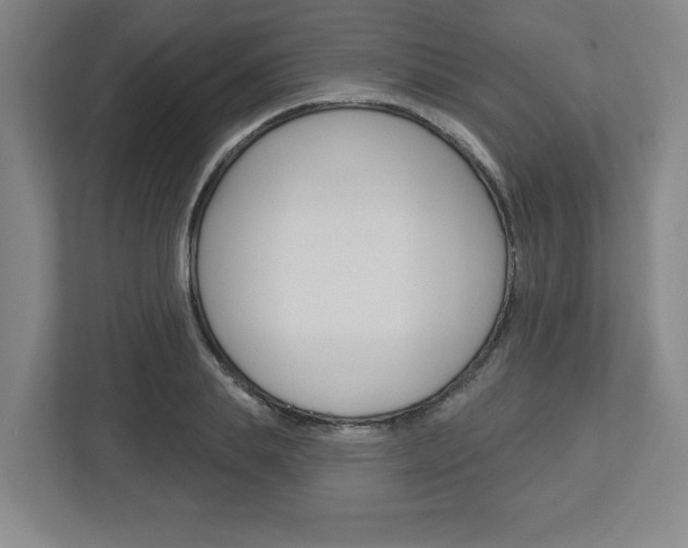 X0000113050839200908271053