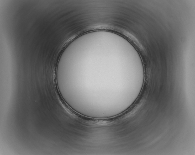 X0000113050841200908271053