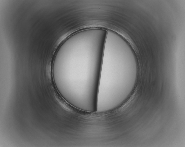 X0000113050842200908271053