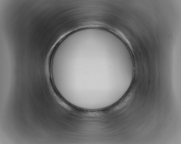 X0000113050843200908271053