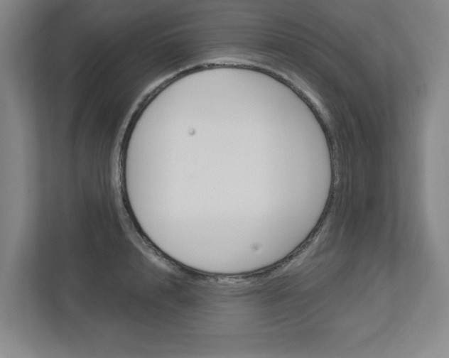 X0000113050848200908271053
