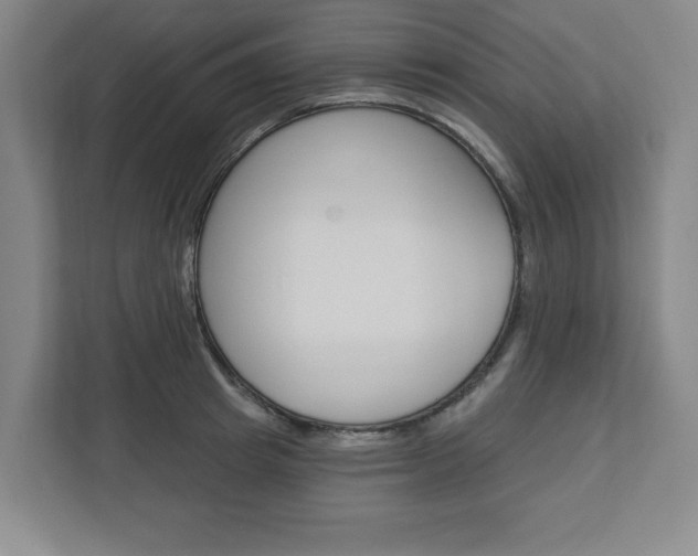 X0000113050849200908271053
