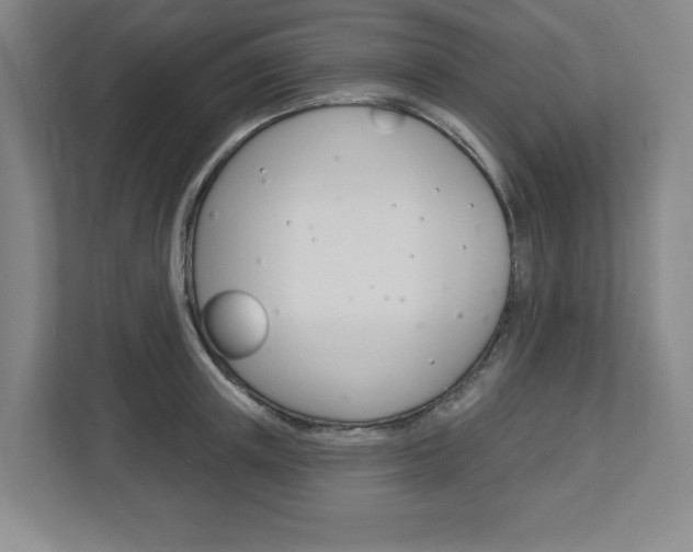 X0000113050851200908271053