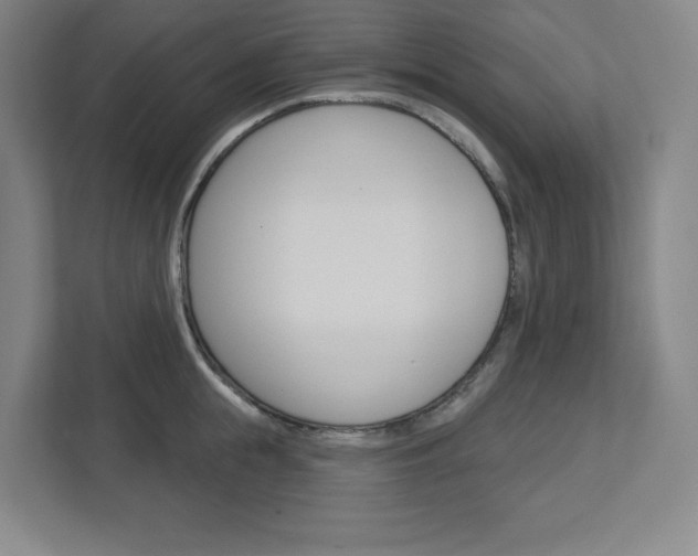 X0000113050855200908271053
