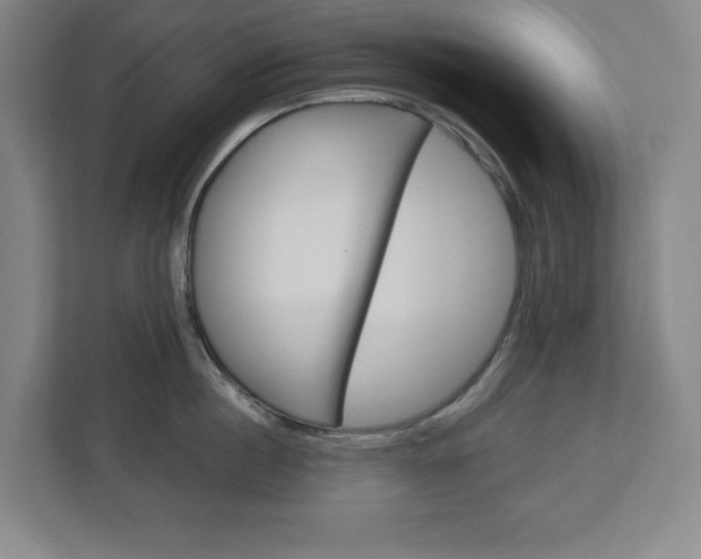 X0000113050860200908271053