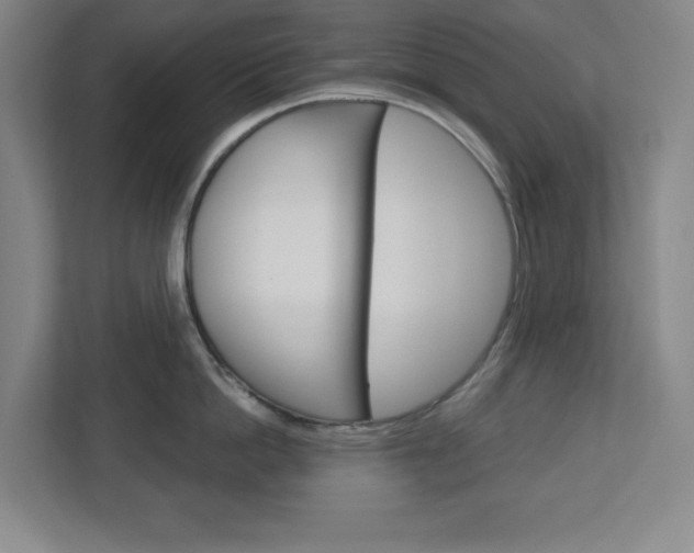X0000113050862200908271053